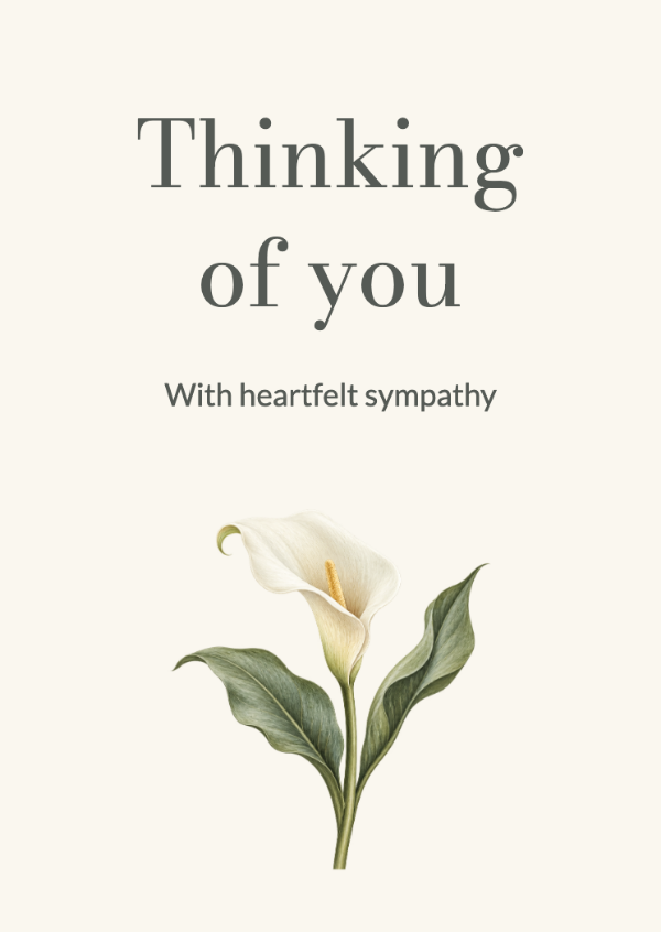 A single lily: Sympathy cards