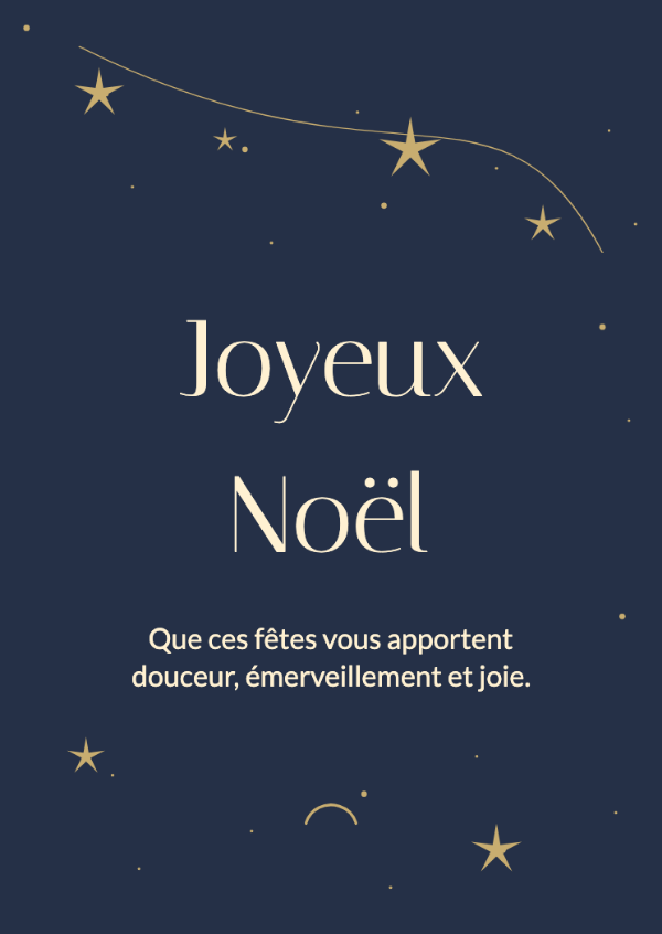 Une saison étoilée: Une traînée d’étoiles et de délicats traits sur un fond bleu nuit.